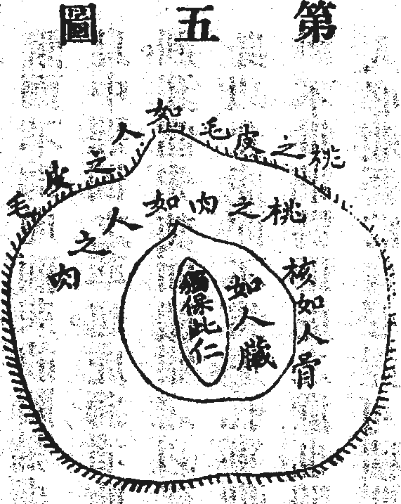 Scan0088