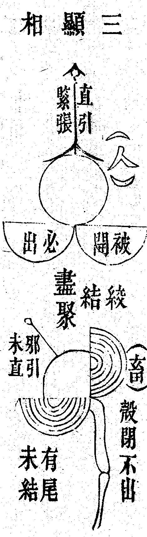 Scan0097
