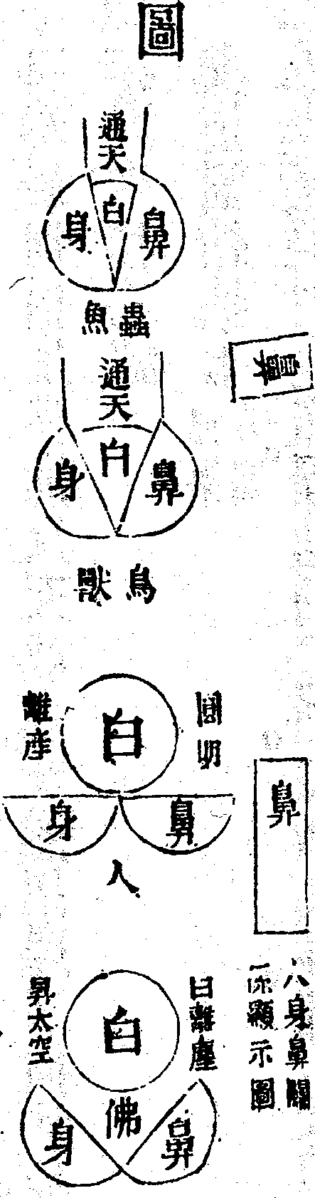 Scan0113