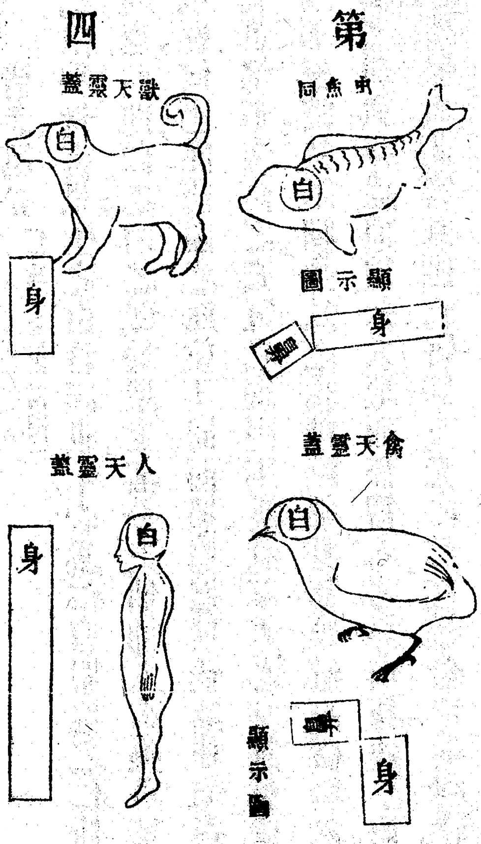 Scan0111